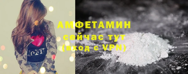 PSILOCYBIN Бородино