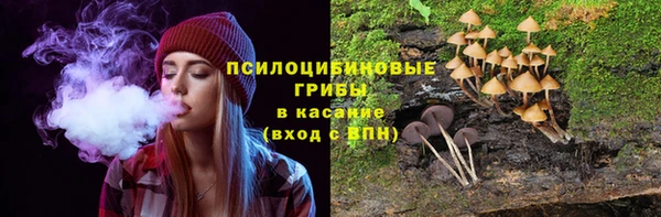 PSILOCYBIN Бородино