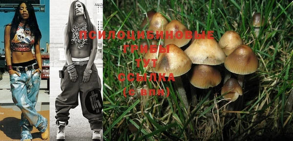 PSILOCYBIN Бородино